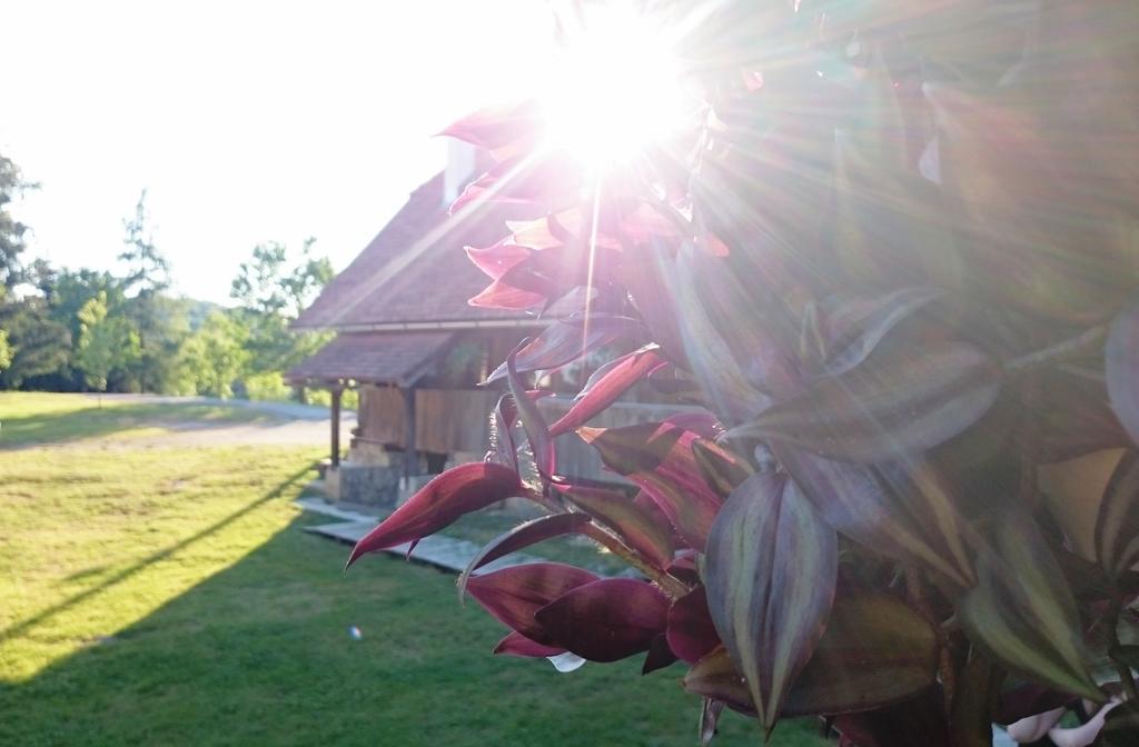 Rustic Home Mia Duga Resa Kamer foto