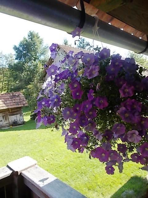 Rustic Home Mia Duga Resa Kamer foto