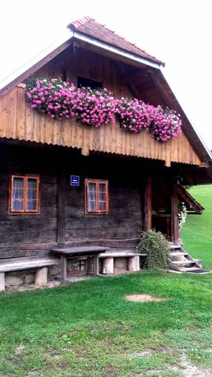 Rustic Home Mia Duga Resa Buitenkant foto
